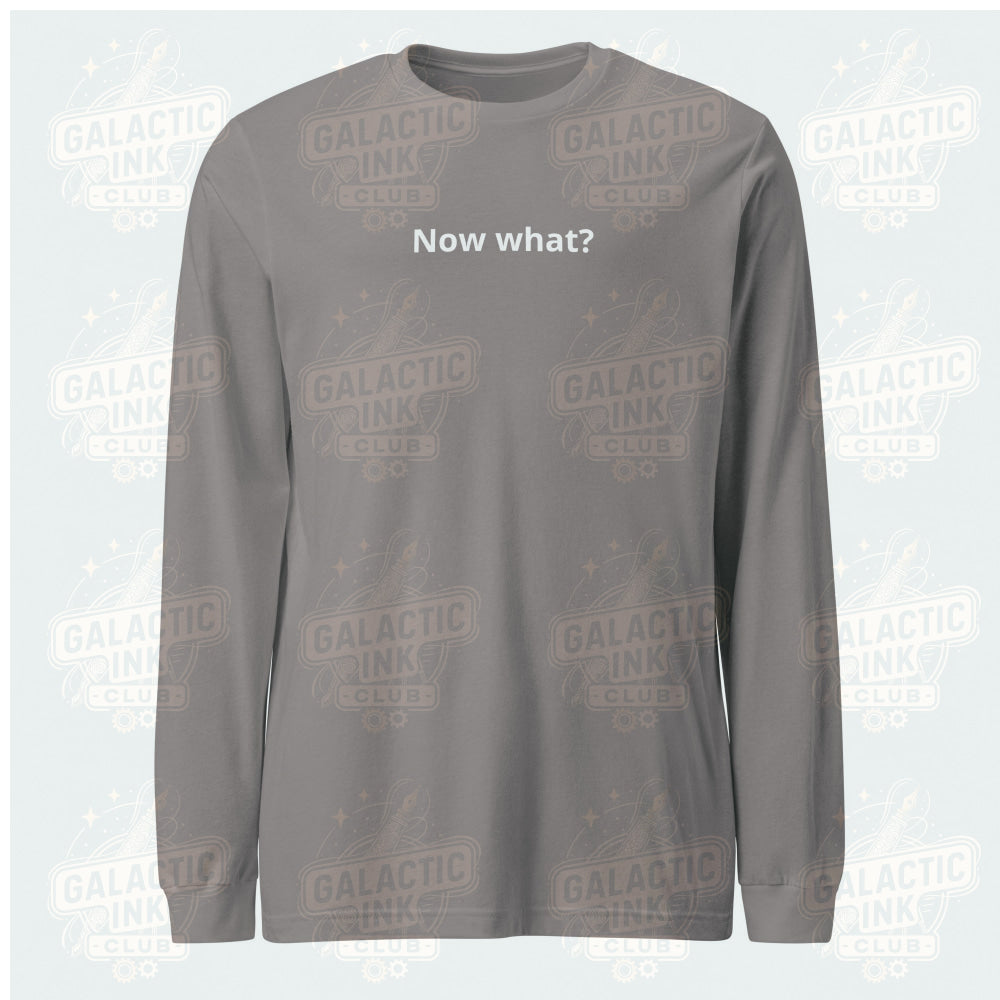 Now What? retro-inspired long-sleeve graphic tee in storm — Galactic Ink Club