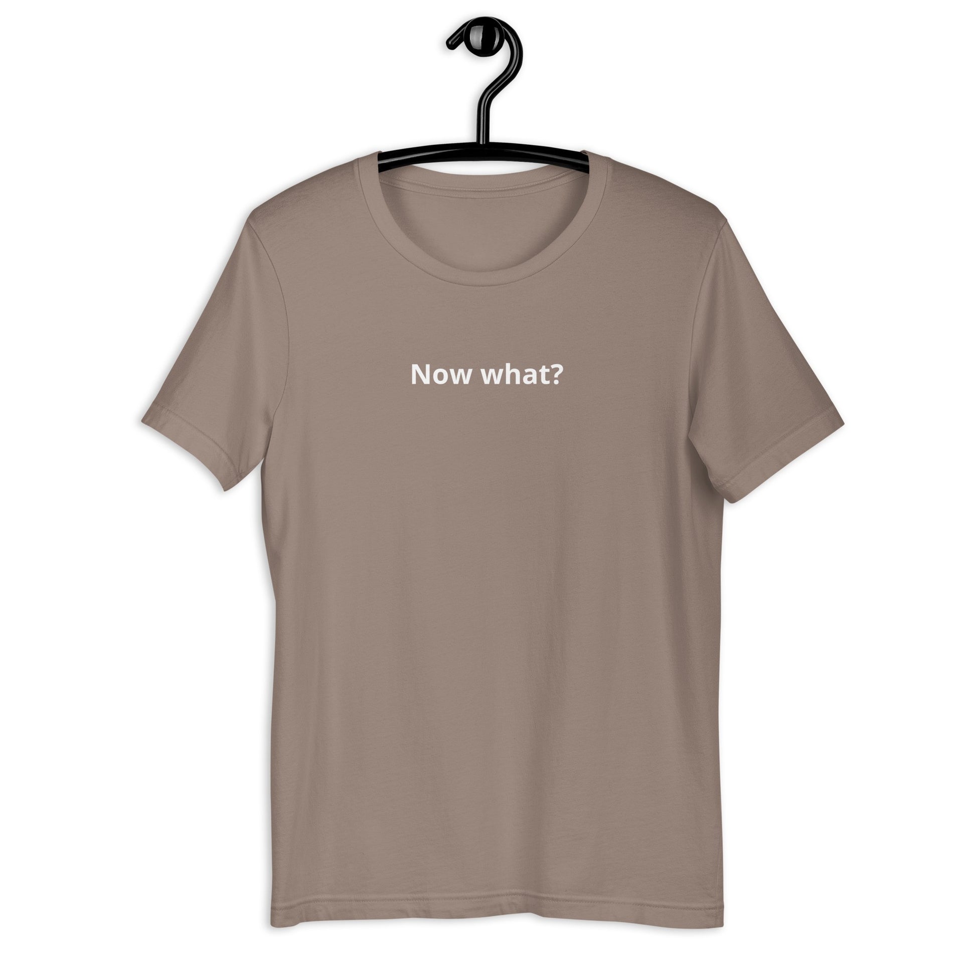 Now What? retro-inspired graphic tee in pebble— Galactic Ink Club